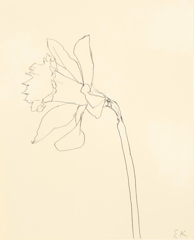 Ellsworth Kelly: Daffodil 22×30 Archival Quality Fine Art Print