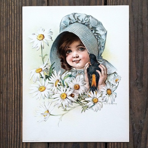 Vintage 1907 BLUE BONNET Victorian Stone Lithograph Print BIRD & DAISIES Signed
