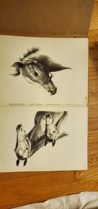 C.W. Anderson vintage bred to run horse prints 1960 gallery