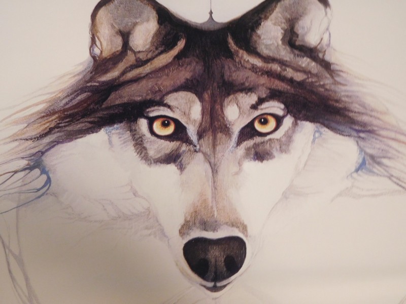 Vintage Print Or PosterNative American with Wolf Spirit Animal BY MARIE BUCHFIN gallery