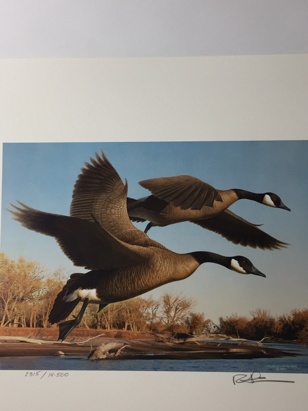 1St State Duck,1990,Colorado,Robert Steiner,Folder,1Mint Stamp. Excellent, Mint.
