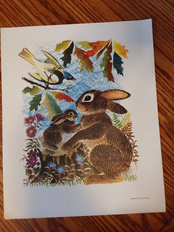1958 Penn Prints New York 16 x 13 Bunnies, BIRD, Flowers PICTURE