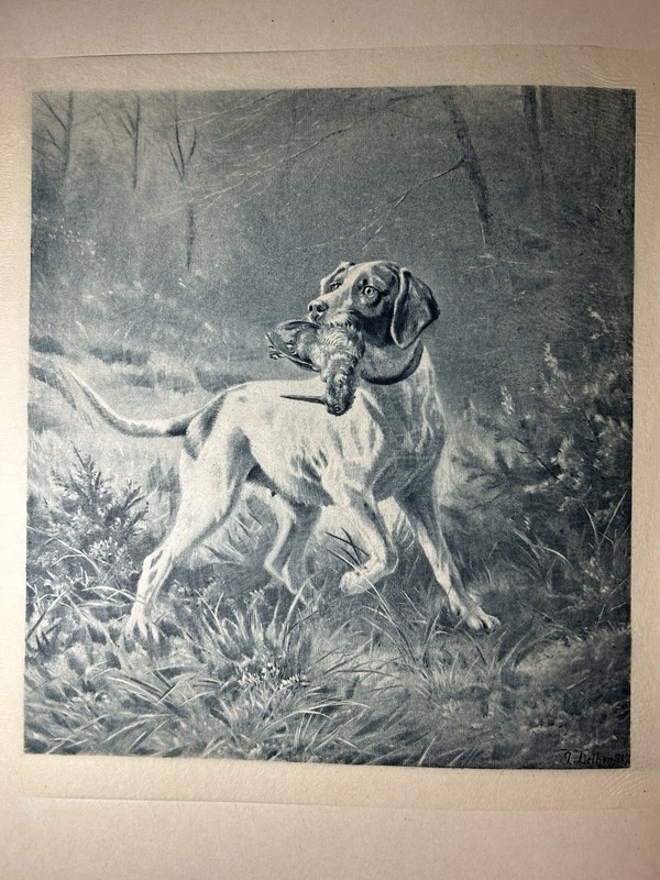 Vintage 1893 Antique Print SNIPE HUNTING Photogravure Original