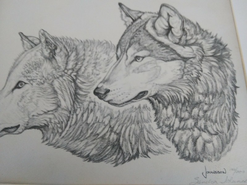 WOLVES HEADS SKETCHED GRAPHITE PENCIL ART Sandra Johansson signed 186/200 B2 gallery