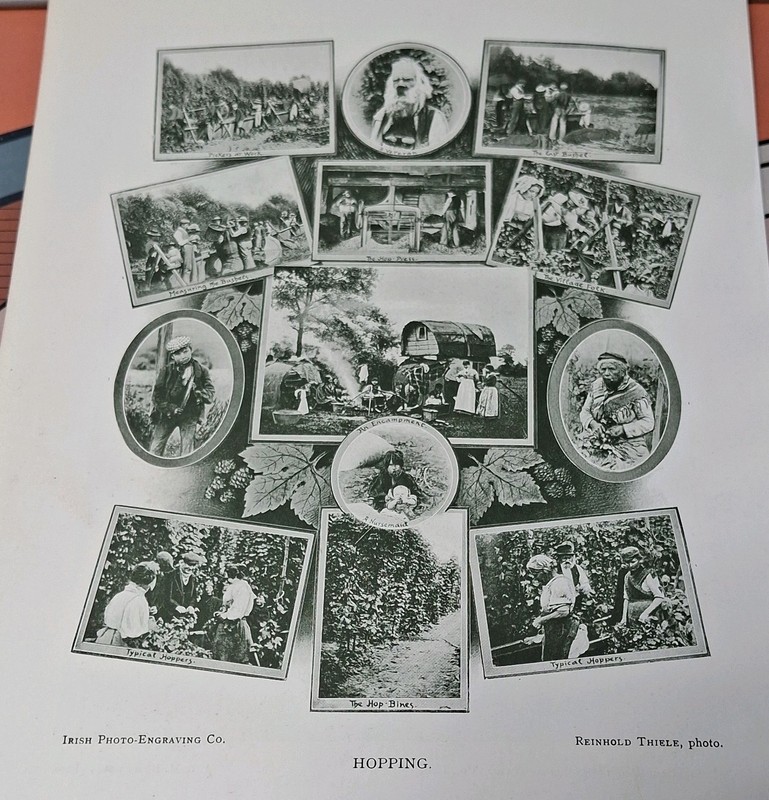 Antique c.1912 Print Hopping Hop Farm & An Interlude Original Free UK Post
