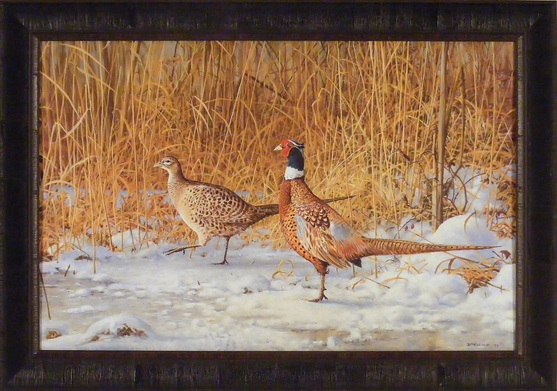 LEADING LADY by Scott Zoellick 23×23 Pheasants Pheasant Winter Cabin FRAMED ART