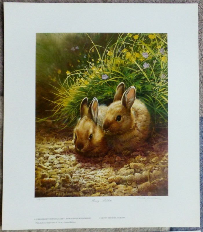 Michael JACKSON Lithograph Young Rabbits cute bunnies Hand Signed UK Artist art gallery