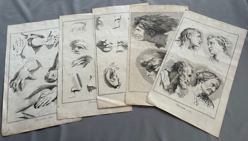 Lot of 5 Antique Engraving Lithograph 15″ x 9″ Benard Prevost Fecit