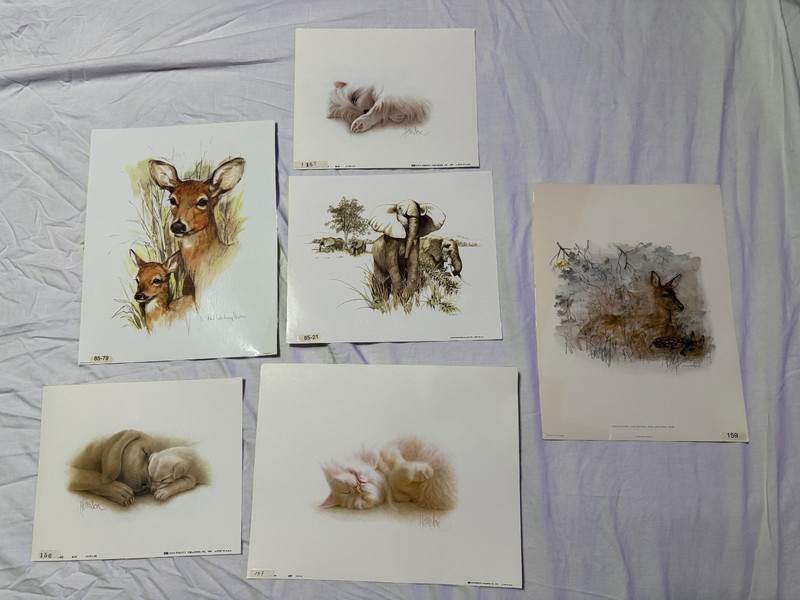 Vintage Lot of 6 Laminated Art Prints 1970s 80s Classroom Pets Animals Harrison