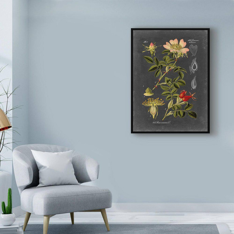 Midnight Botanical I by Vision Studio Floater Frame Nature Wall Art 19 In. X 14 gallery