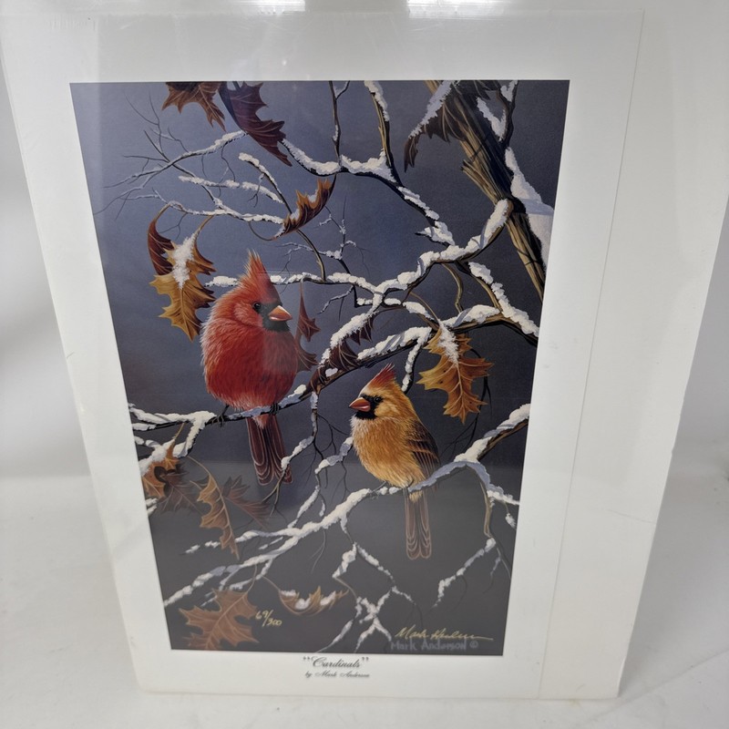 Mark Anderson Cardinals Winter Tree Signed 15X10 In Limited Edition Print 69/300