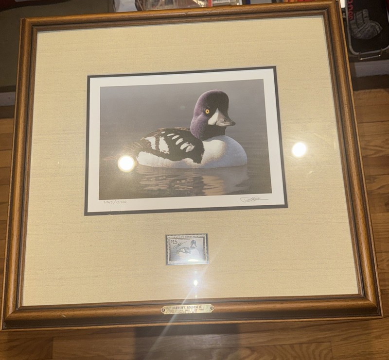 1998 ROBERT STEINER FEDERAL DUCK STAMP PRINT SIGNED & NUMBERED