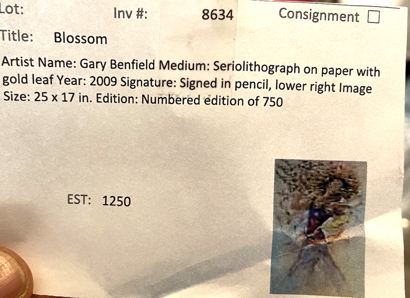 🔥 Gary Benfield "Blossom" Framed SerioLithograph Signed Limited Ed of 750 gallery