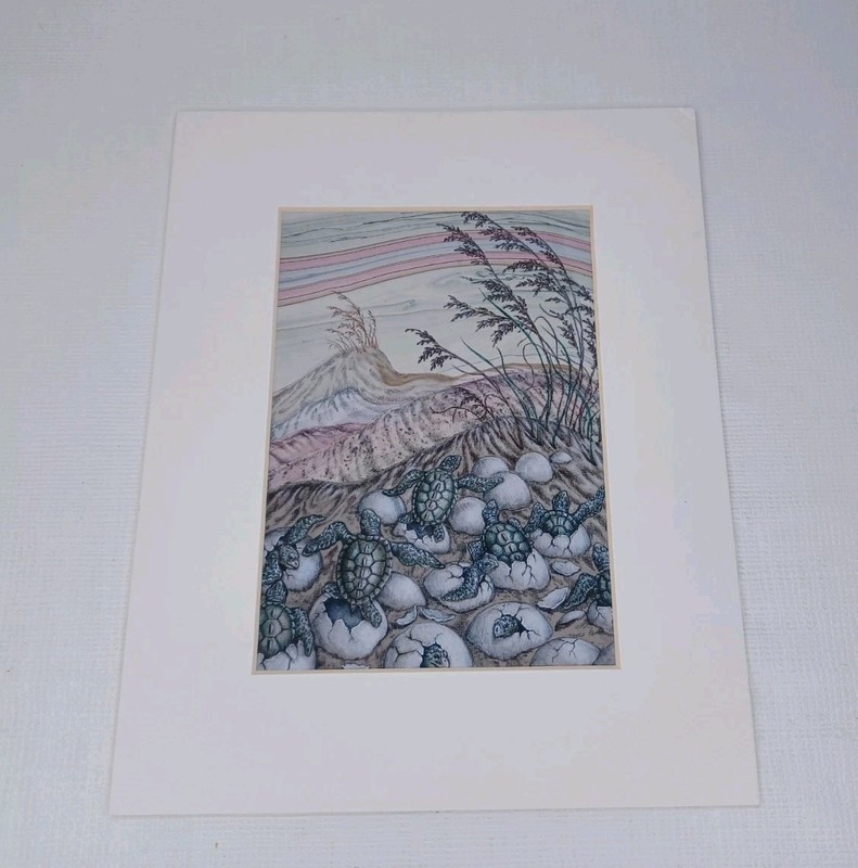 Sea Turtle Hatching Sea Turtles Giclee Print gallery