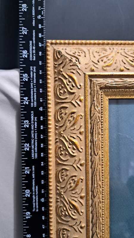 Buffin Lion Print Framed gallery