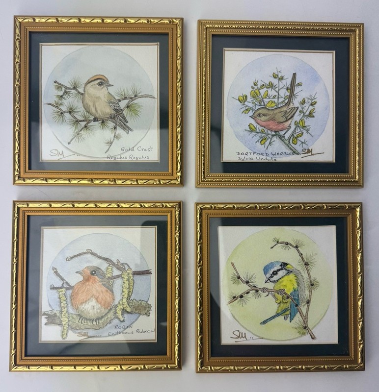 4 Original Framed Watercolour Bird Prints Signed SM Gold Framed 15 x 15cm OOAK