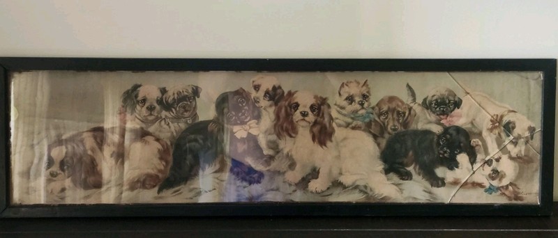 1890s C.L. VAN VREDENBURGH 12 PUPPIES YARD LONG PRINT Framed