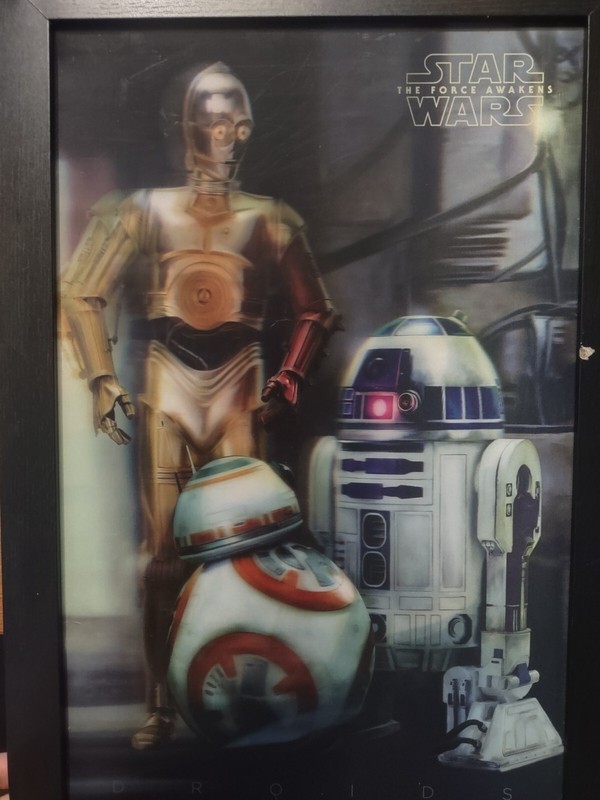 Star Wars – «The Force Awakens» – Droids 3D Image 13″x19″
