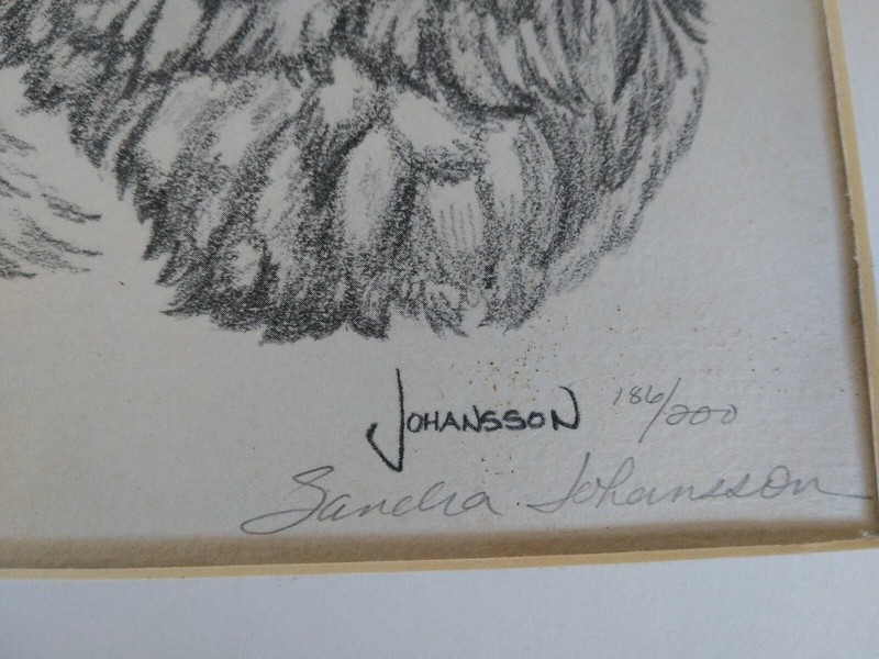 WOLVES HEADS SKETCHED GRAPHITE PENCIL ART Sandra Johansson signed 186/200 B2 gallery