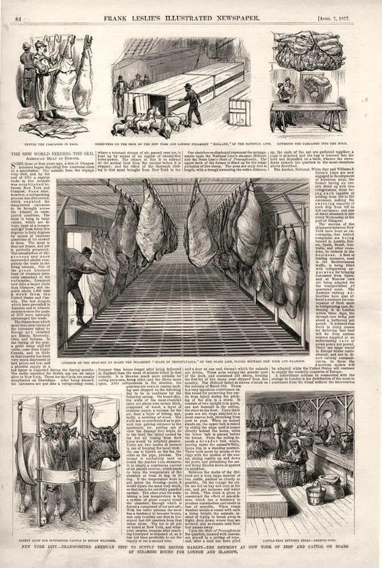 American Beef to Supply the British Market – New World Feeding the Old – 1877
