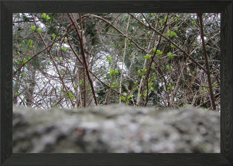 Looking Up Framed Wall Art Poster Canvas Print Picture