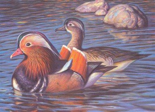 Ivan Kozlov Mandarin Ducks – Water Birds 1989 USSR Duck Stamp Print