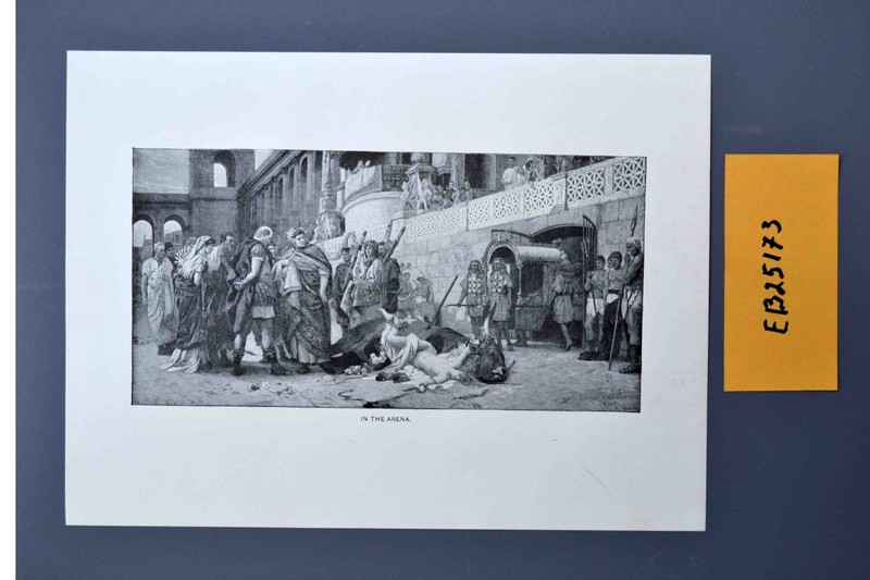 In the Arena, 130+ year old antique intaglio, etching print