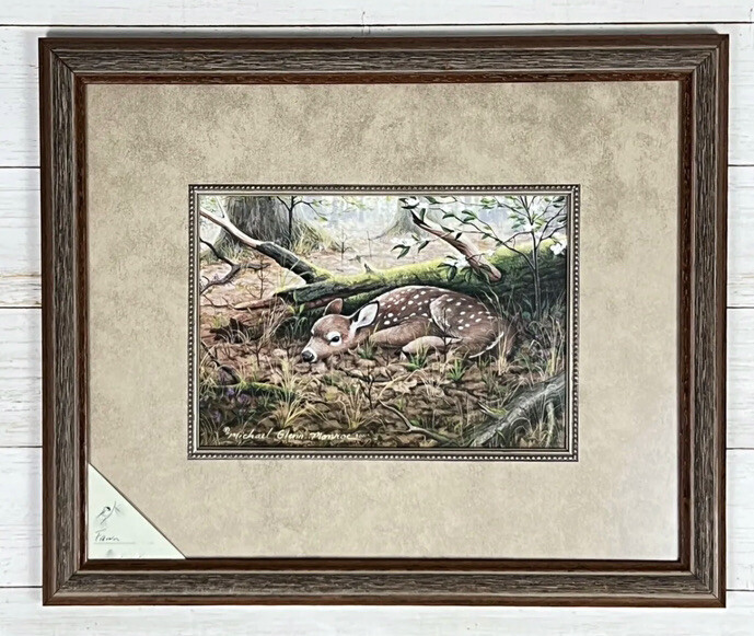 WhiteTail Deer Fawn Framed Art Print. Signed Limited Edition Print