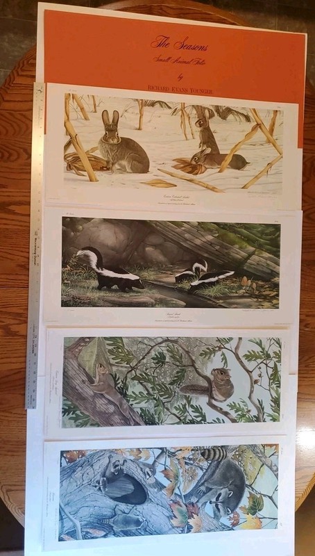 Hand SIGNED Richard Evans Younger 4Seasons Print Folio Squirrel Raccoon Skunk