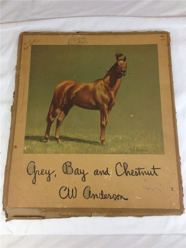 1955 C.W. Anderson Gray, Bay and Chestnut, Man O' War, Grey Ghost Horse Prints gallery
