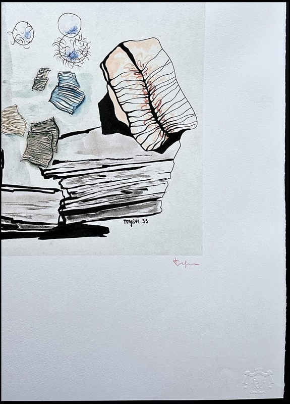 TOYEN - Stones - numbered edition 151/500, 50x70 cm (19,7x27,6 in) gallery