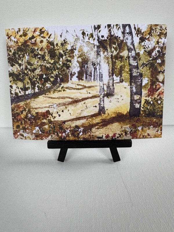 5x7 Fine Art Print Fall Landscape No.1 Birch Tree& Shadows