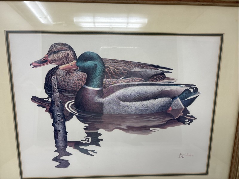 Brian Wheeler 1981 Mallard Duck Framed Art Print 22x18 Wildlife Waterfowl gallery