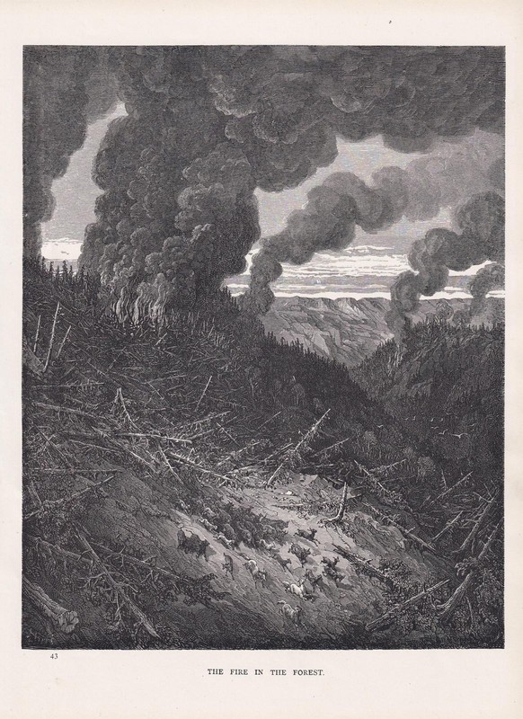 1870 GUSTAVE DORE Print - "The Fire in the Forest" - 8.5 x 12.8 Inches gallery