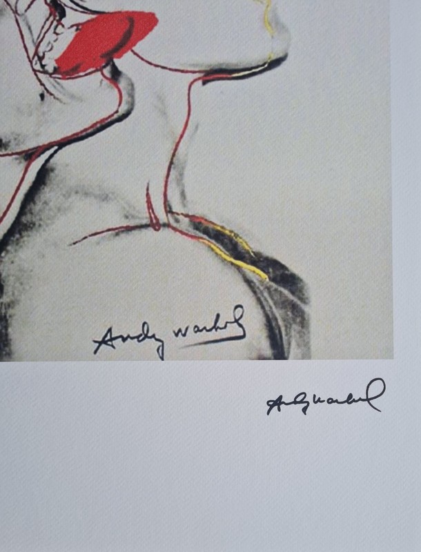 Andy Warhol * Querelle * signed lithograph * art print * limited # 20/125 gallery