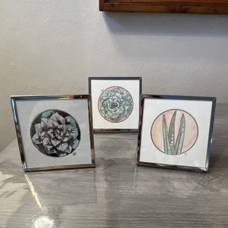 NH Framed Set of 3 Modern Botanical Succulent Plant Art Prints Signed Portrait