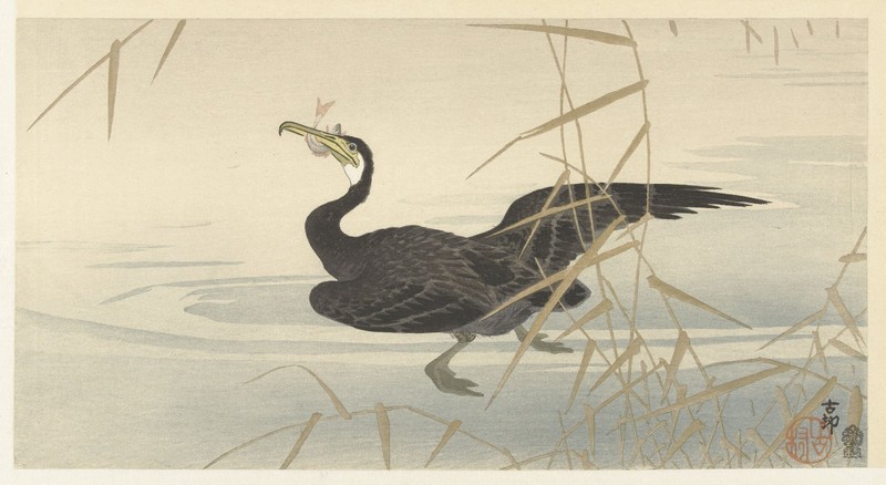 Ohara Koson Cormorant with Fish Japanese Woodblock Print Shin-Hanga Nature Art