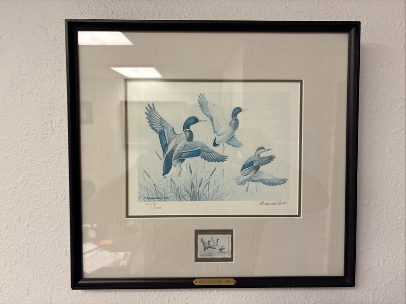 Maynard Reece “Ducks Unlimited 1985” Framed Limited Edition Duck Print
