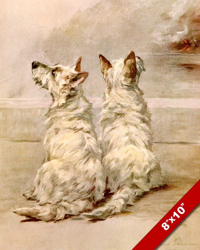 WEST HIGHLAND WHITE TERRIER DOGS PET PUPPY DOG ART PAINTING PRINT ON REAL CANVAS