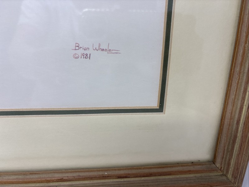 Brian Wheeler 1981 Mallard Duck Framed Art Print 22x18 Wildlife Waterfowl gallery