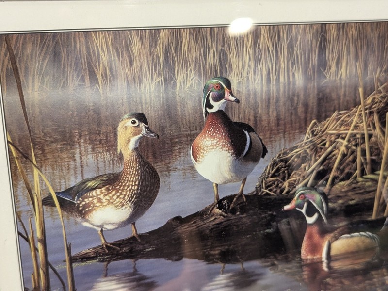 October Sun by Robert Hautman 8.75"x11.25" Framed Print Wood Ducks In The Marsh gallery