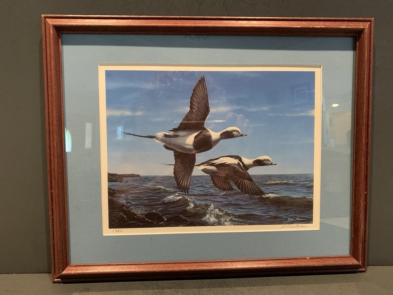 Robert Hautman Numbered Signed SEA DUCKS Framed Matted Art 15×12 (10×8)