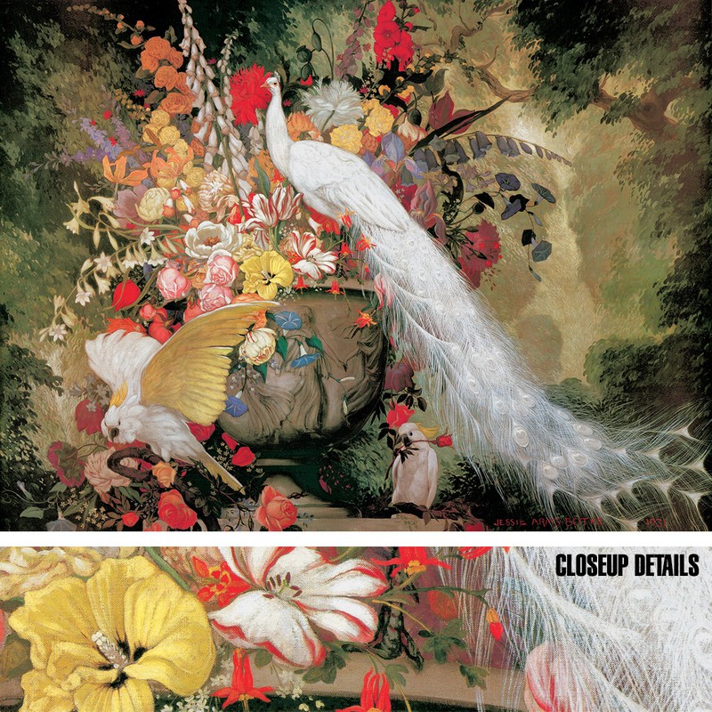 42W»x32H» WHITE PEACOCK COCKATOOS by J.A. BOTKE – PARROTS VASED FLOWERS CANVAS