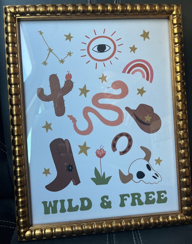 Sapna Shah Art Cowgirl Horse Wild & Free Gold Framed 12” x 18” EUC Desert Rodeo
