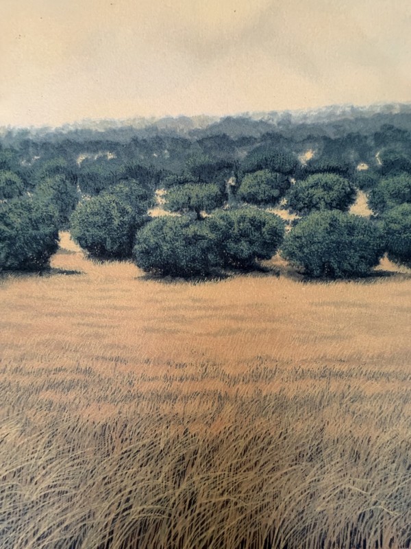Tomás Sánchez – Untitled (1982) | Signed & Numbered Silkscreen. Cuban Art. gallery