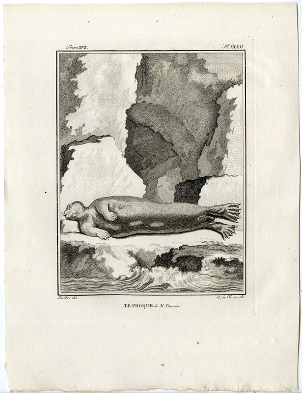 Antique Print-SEAL-ROB-PINNIPED-PHOQUE-PARSONS-PL. 32-de Vries-Buffon-1785