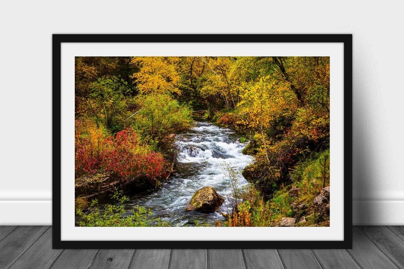 Spearfish Canyon Framed Print: South Dakota Black Hills Creek Autumn Wall Art