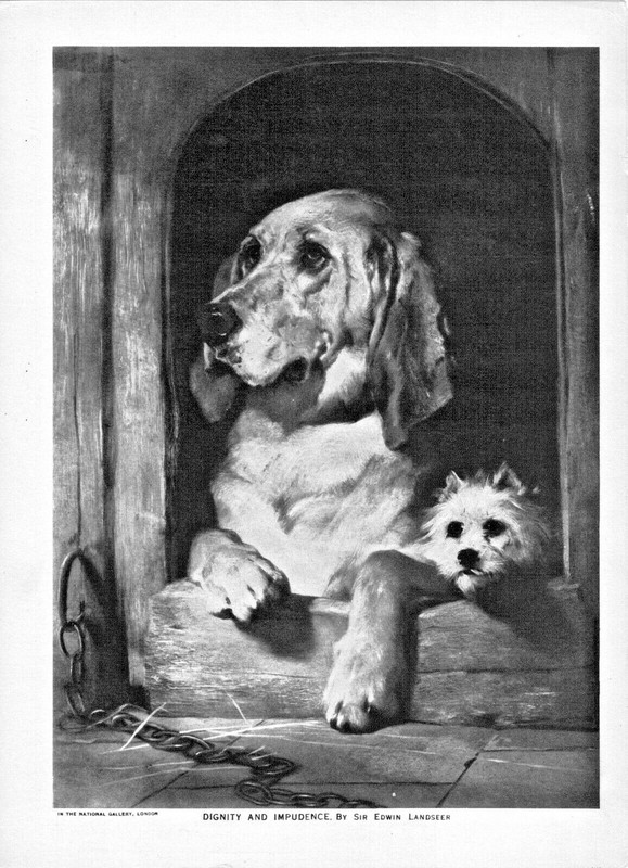 The Mentor Association 1915 – Animals In Art – 5 Prints – 9 1/2” X 7” Very Good