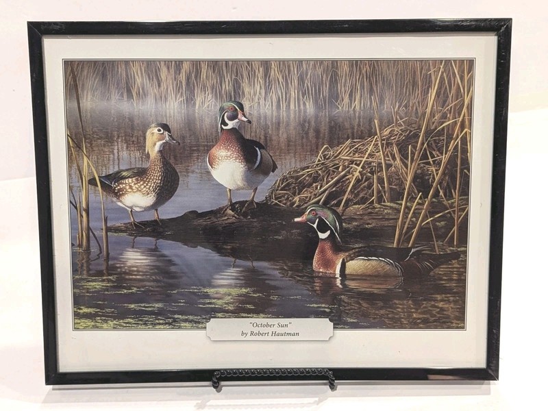 October Sun by Robert Hautman 8.75"x11.25" Framed Print Wood Ducks In The Marsh gallery