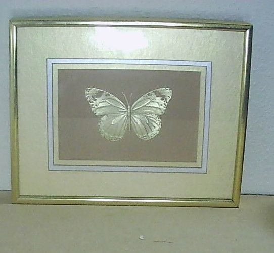 Framed Butterfly Gold Foil Art, Matted Gold Frame 10.5"x8.25"